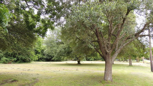 Magnolia null-story, null-bed 219 6th STREET-idx