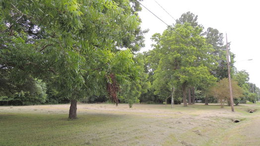 Magnolia null-story, null-bed 219 6th STREET-idx