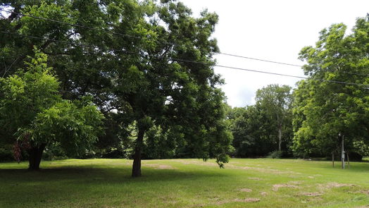 Magnolia null-story, null-bed 219 6th STREET-idx