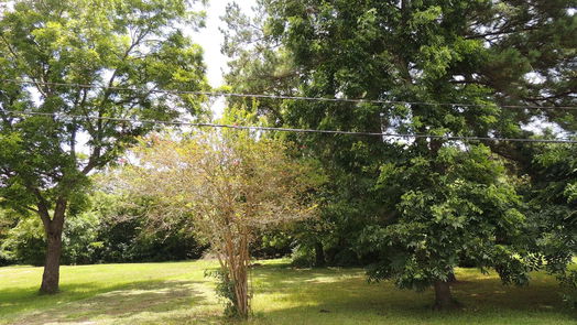 Magnolia null-story, null-bed 219 6th STREET-idx