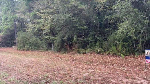 Magnolia null-story, null-bed 17002 Indigo Hills Drive-idx