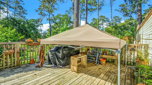 Magnolia null-story, 3-bed 24927 Nichols Sawmill Road-idx