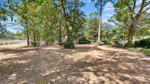 Magnolia 1-story, 3-bed 18743 Mink Lake Drive-idx