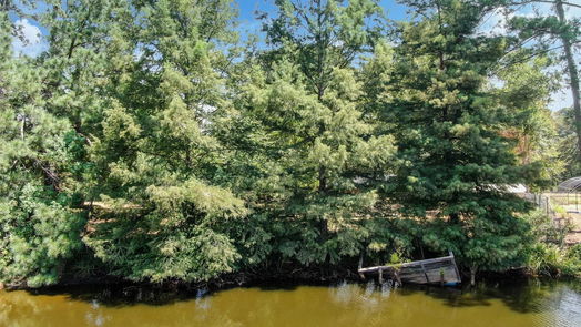 Magnolia 1-story, 3-bed 18743 Mink Lake Drive-idx