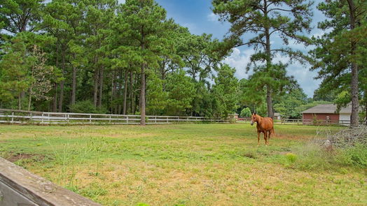 Magnolia 2-story, 3-bed 28703 Nichols Sawmill Road-idx