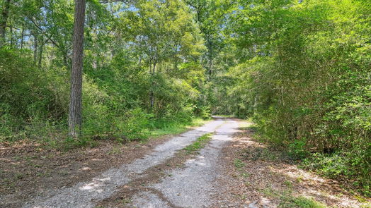 Magnolia 2-story, 3-bed 19019 Veterans Road-idx