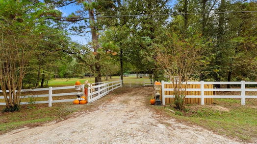 Magnolia 2-story, 4-bed 305 Ridgewood Drive-idx