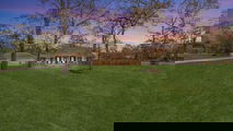 Magnolia-1