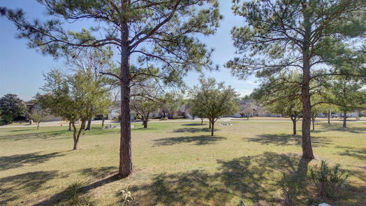 Conroe 2-story, 3-bed 17570 Highway 105 W 57-idx