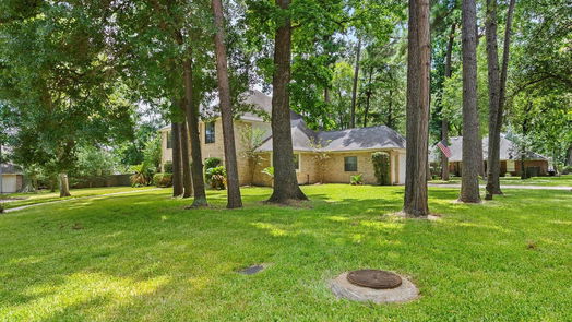 Conroe 2-story, 5-bed 121 S Park Drive-idx