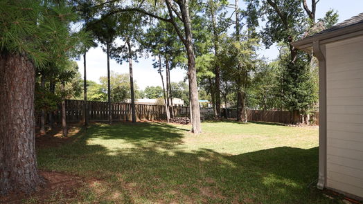 Montgomery 1-story, 3-bed 3302 Pine Chase Drive-idx