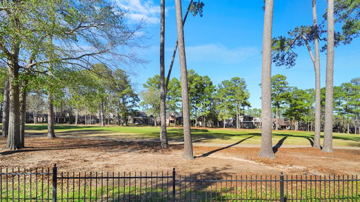 Montgomery 1-story, 3-bed 3031 Bentwater Drive-idx