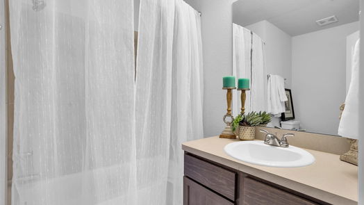 Montgomery 1-story, 3-bed 402 W Terra Vista Circle-idx