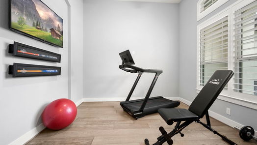 Montgomery 1-story, 3-bed 48 W Oaks Court-idx