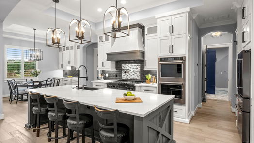 Montgomery 1-story, 3-bed 48 W Oaks Court-idx