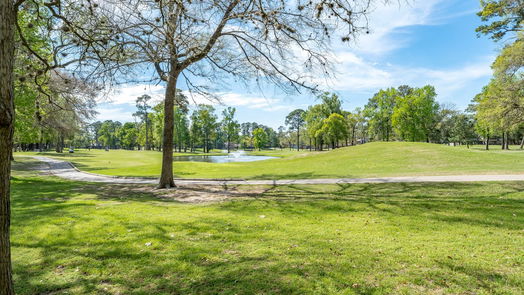 Montgomery 2-story, 3-bed 3407 Brookhaven Drive-idx