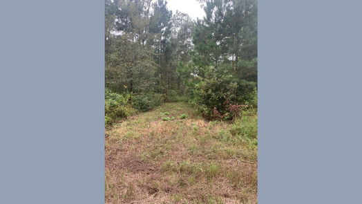 Montgomery null-story, null-bed 25572 Johnson Road-idx
