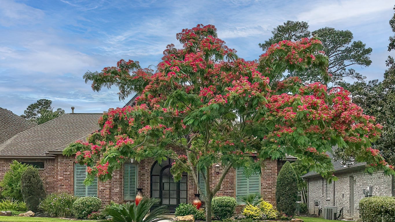 Montgomery 1-story, 3-bed 34 Wedgewood Drive W-idx