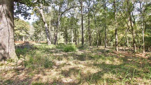 Montgomery null-story, null-bed Lot 3 Quiet Hollow Road-idx