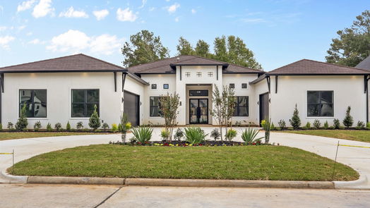 Montgomery 1-story, 4-bed 123 Pine Bluff Drive-idx