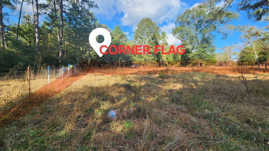 Montgomery null-story, null-bed 9467 Post Oak Cemetery Road-idx