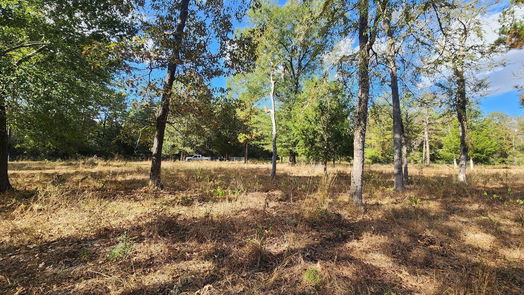 Montgomery null-story, null-bed 9467 Post Oak Cemetery Road-idx