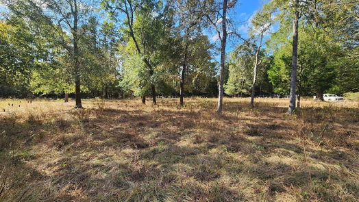 Montgomery null-story, null-bed 9467 Post Oak Cemetery Road-idx