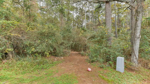 Montgomery 2-story, 3-bed 15514 Hickory Drive-idx