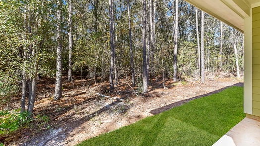 Montgomery 2-story, 3-bed 15529 Hickory-idx
