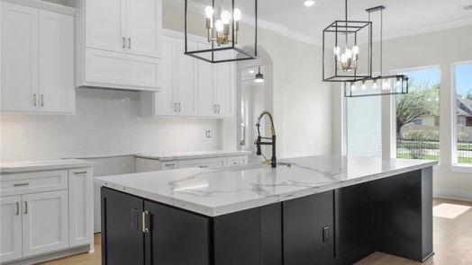 Montgomery 1-story, 3-bed 216 Bluehill Dr-idx