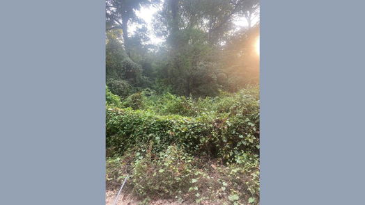 New Caney null-story, null-bed 0 Baptist Encampment Road-idx