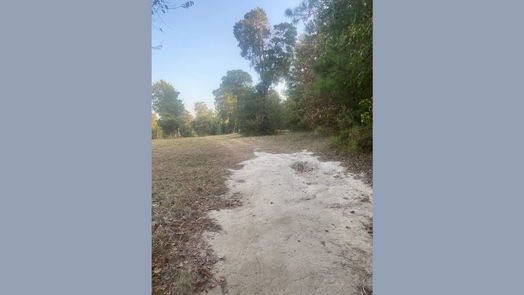 New Caney null-story, null-bed 0 Baptist Encampment Road-idx