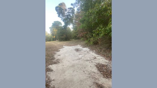 New Caney null-story, null-bed 0 Baptist Encampment Road-idx