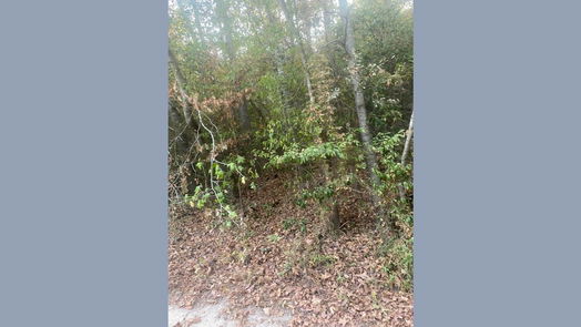 New Caney null-story, null-bed 0 Baptist Encampment Road-idx
