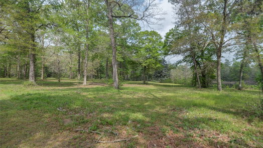 New Caney null-story, 0-bed TBD Firetower Road-idx