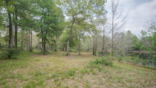 New Caney null-story, 0-bed TBD Firetower Road-idx