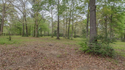 New Caney null-story, 0-bed TBD Firetower Road-idx