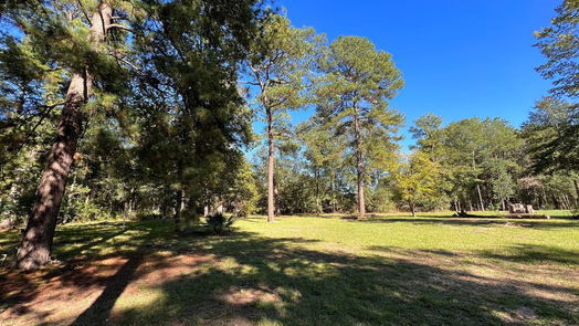 New Caney 1-story, 2-bed 17073 Oak Grove Lane-idx