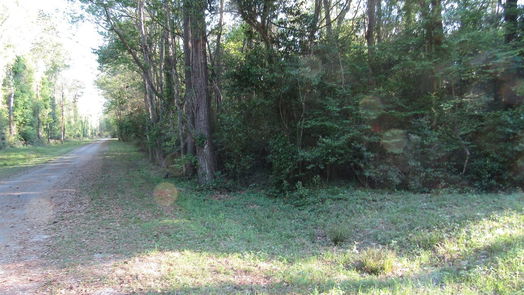 New Caney null-story, null-bed Lots 442 & 443 Holly Lane-idx