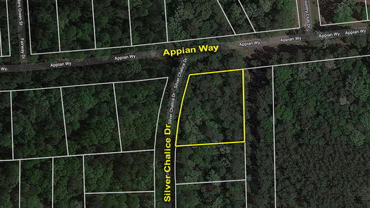 New Caney null-story, null-bed Lot 61 Appian Way-idx