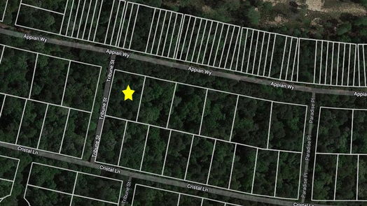 New Caney null-story, null-bed Lot 1 Appian Way-idx