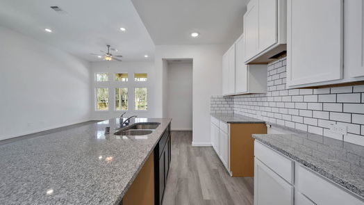 New Caney 2-story, 3-bed 2907 Parthenon Place-idx