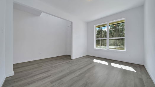 New Caney 2-story, 3-bed 2907 Parthenon Place-idx
