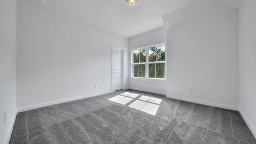 New Caney 2-story, 3-bed 2907 Parthenon Place-idx