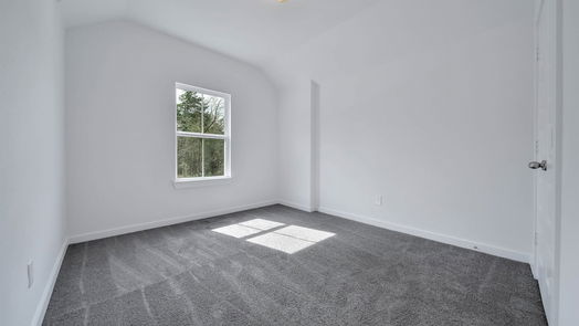 New Caney 2-story, 3-bed 2907 Parthenon Place-idx
