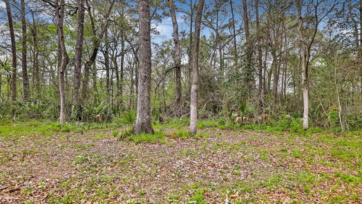 New Caney 1-story, 3-bed 19683 Crystalwood Estates Drive-idx