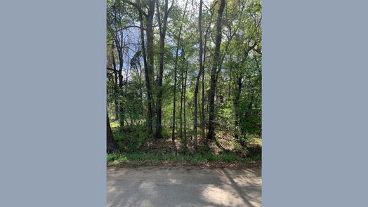 New Caney null-story, null-bed TBD LOT98 Peach Drive-idx