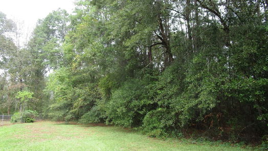 New Caney null-story, null-bed Lot 9 Stevens Forest-idx