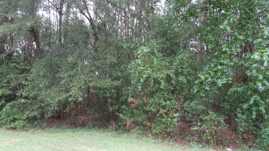 New Caney null-story, null-bed Lot 9 Stevens Forest-idx