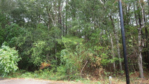 New Caney null-story, null-bed Lot 9 Stevens Forest-idx